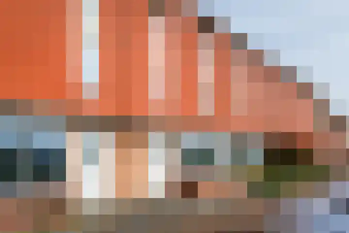 Hof van Parijs 10 Doetinchem thumbnail 34
