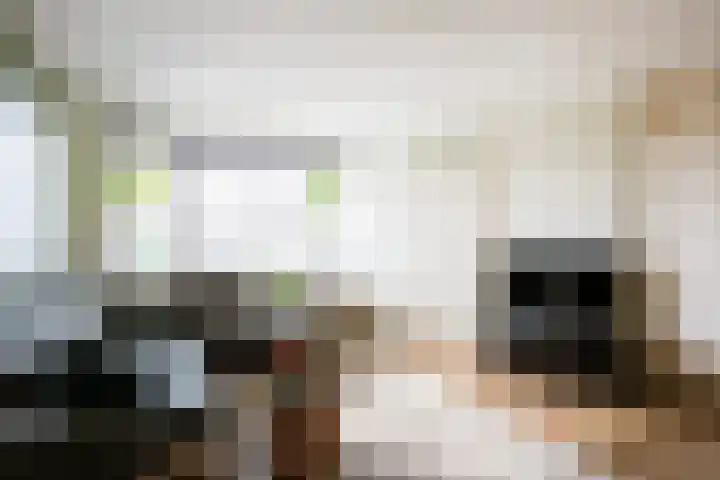 Hof van Parijs 10 Doetinchem thumbnail 4