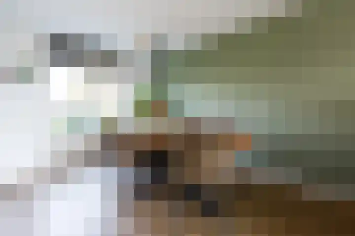 Hof van Parijs 10 Doetinchem thumbnail 5