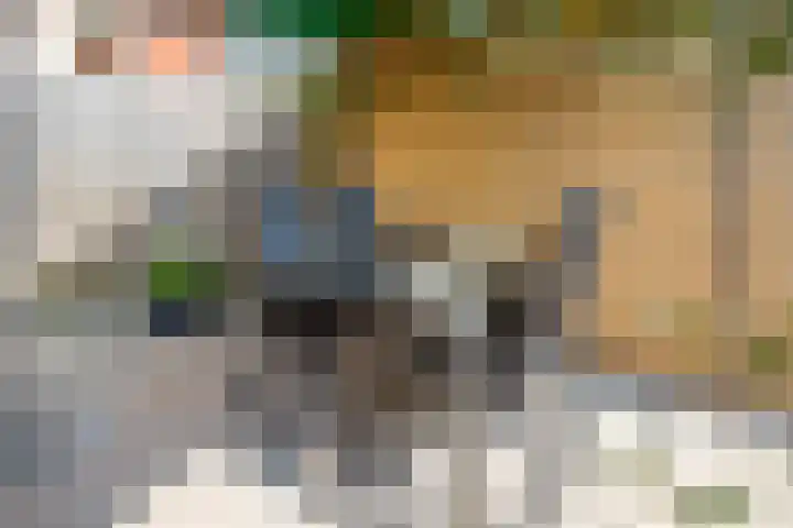 Hof van Parijs 186 Doetinchem thumbnail 12