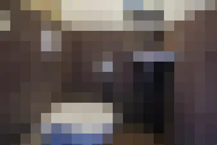 Hof van Parijs 186 Doetinchem thumbnail 17