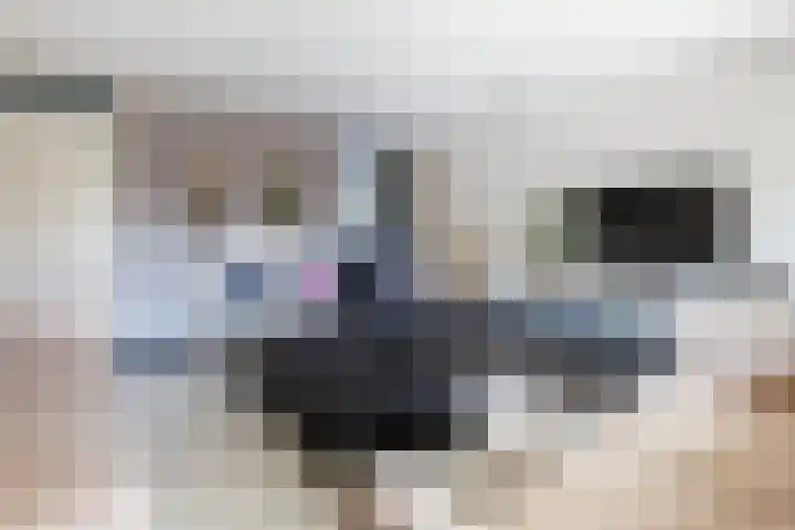 Hof van Parijs 186 Doetinchem thumbnail 6