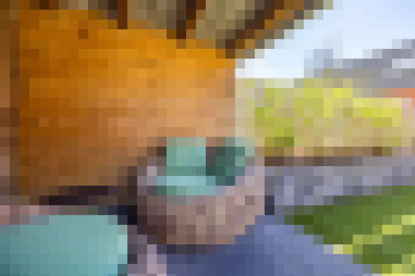Hof van Parijs 46 Doetinchem thumbnail 15