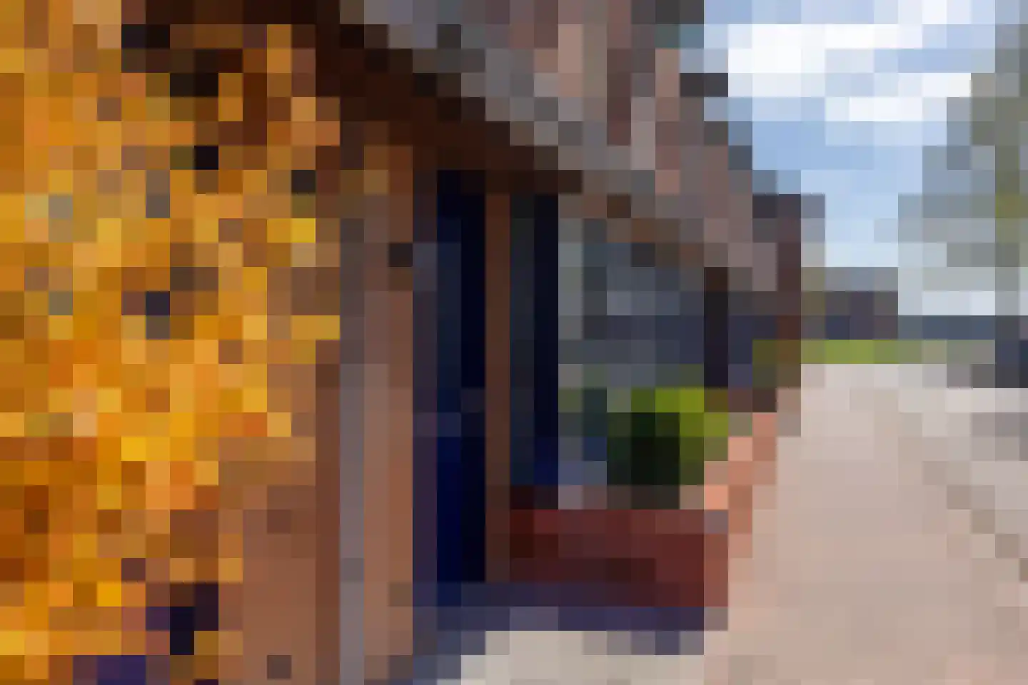 Hof van Parijs 46 Doetinchem thumbnail 18