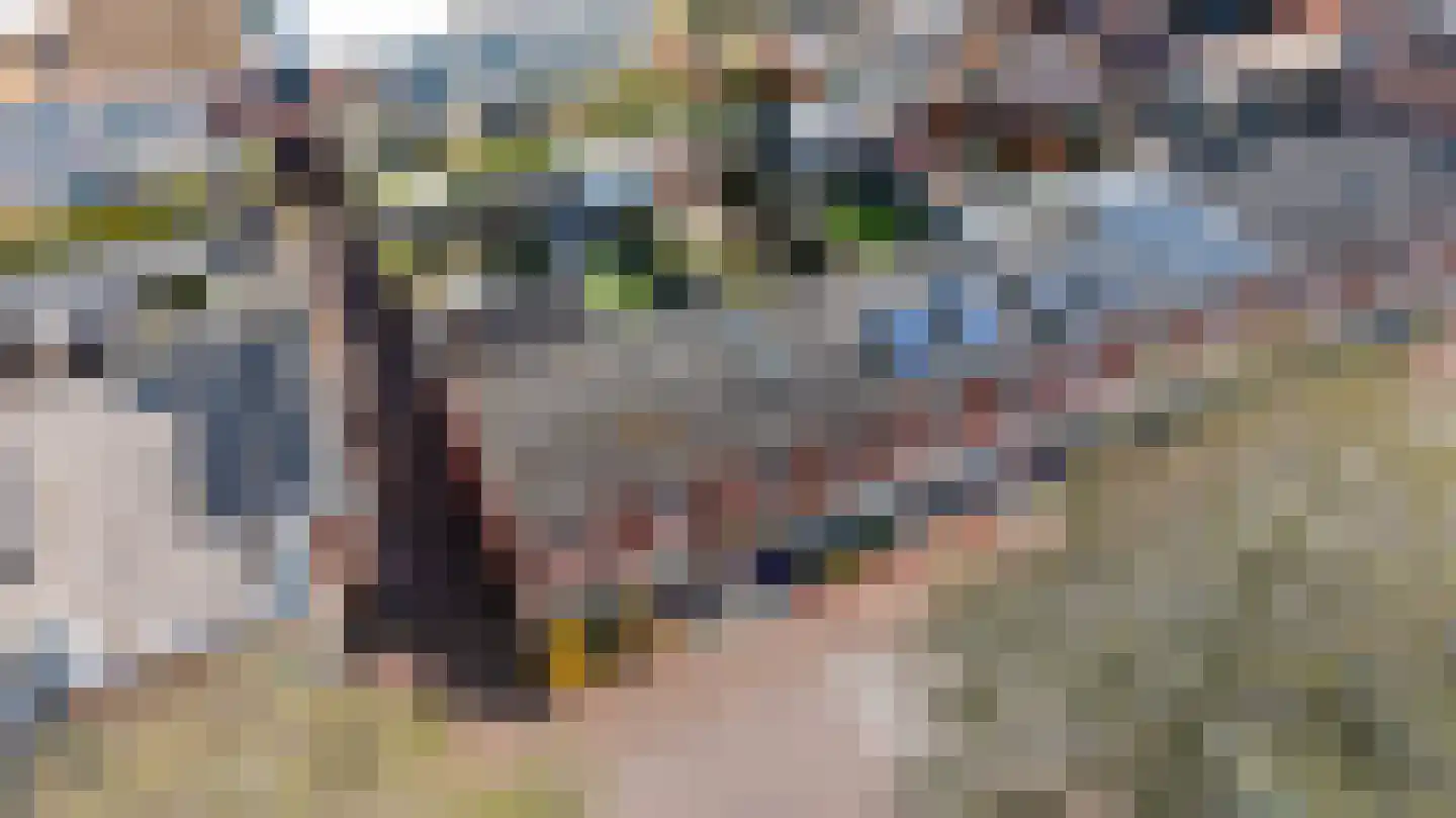 Hof van Parijs 46 Doetinchem thumbnail 30