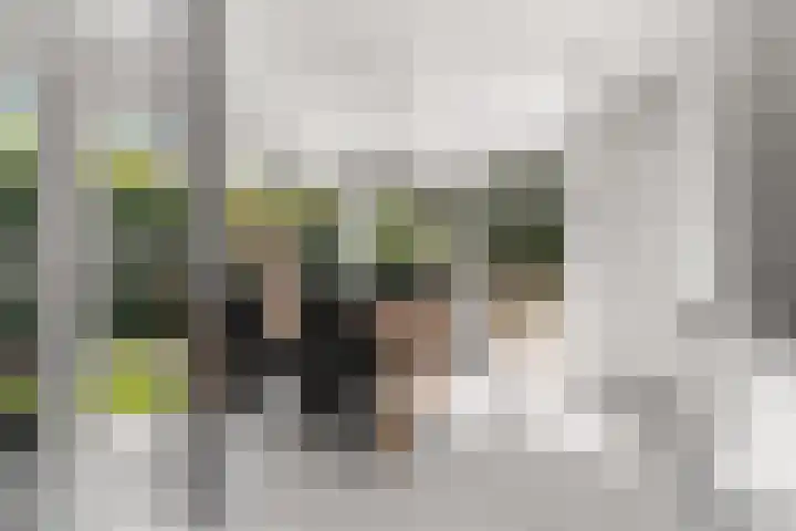 Hof van Parijs 53 Doetinchem thumbnail 10
