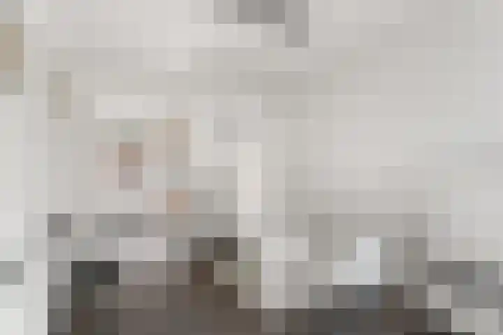 Hof van Parijs 53 Doetinchem thumbnail 18
