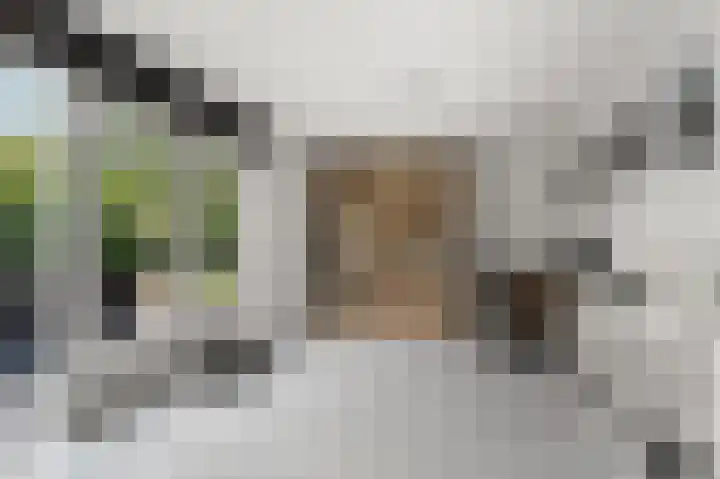 Hof van Parijs 53 Doetinchem thumbnail 22