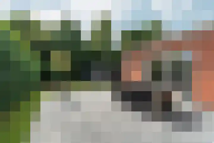 Hof van Parijs 53 Doetinchem thumbnail 24