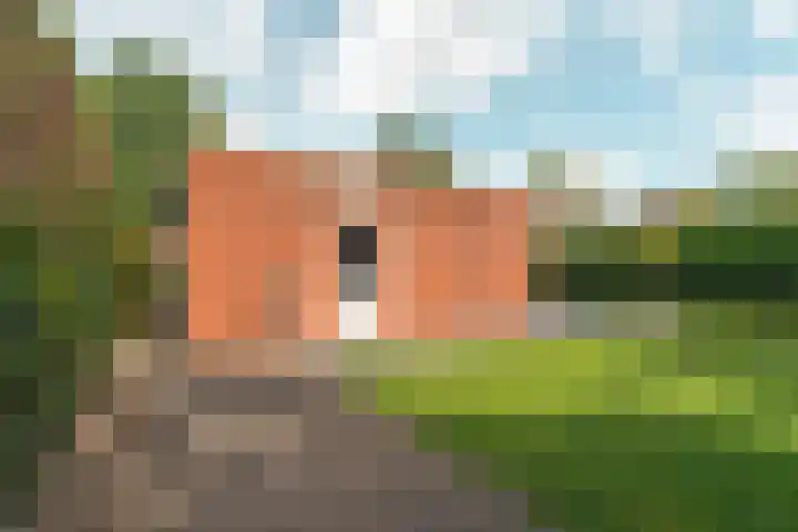 Hof van Parijs 53 Doetinchem thumbnail 33