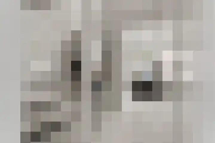 Hof van Parijs 53 Doetinchem thumbnail 37