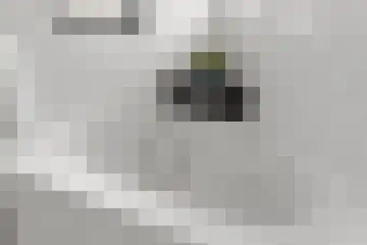 Hof van Parijs 53 Doetinchem thumbnail 44