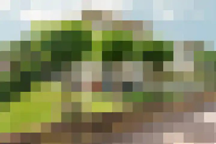 Hof van Parijs 53 Doetinchem thumbnail 50