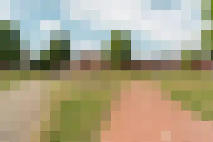 Hof van Parijs 53 Doetinchem thumbnail 54