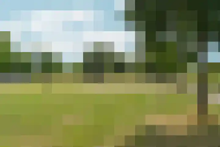 Hof van Parijs 53 Doetinchem thumbnail 57