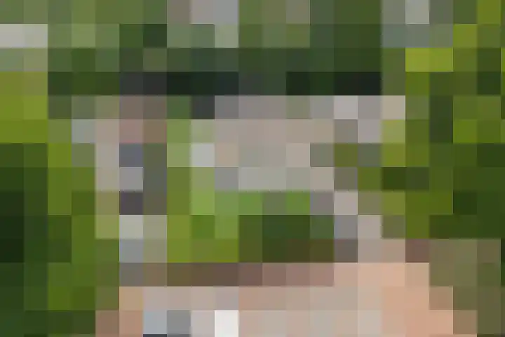 Hof van Parijs 53 Doetinchem thumbnail 58