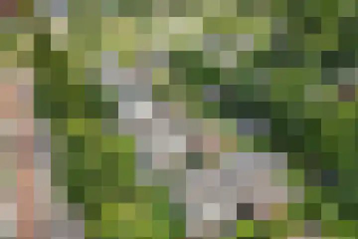 Hof van Parijs 53 Doetinchem thumbnail 59