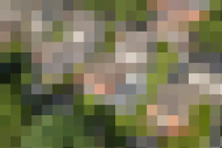 Hof van Parijs 53 Doetinchem thumbnail 60