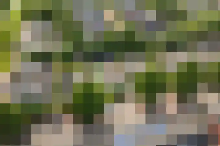 Hof van Parijs 53 Doetinchem thumbnail 61