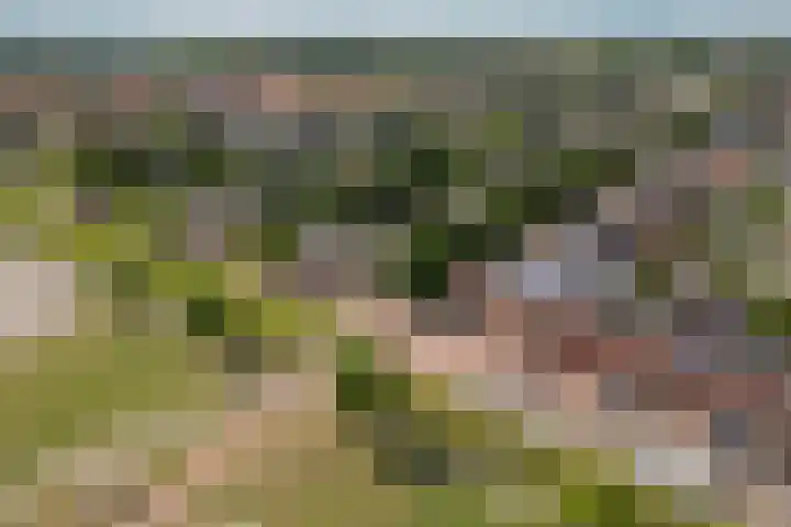 Hof van Parijs 53 Doetinchem thumbnail 62