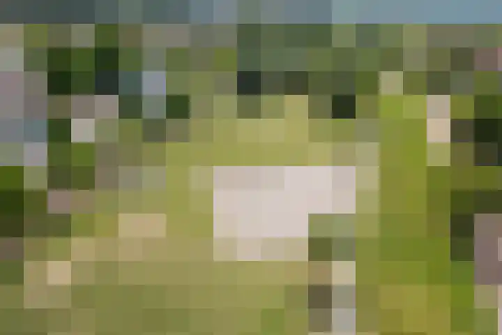Hof van Parijs 53 Doetinchem thumbnail 63