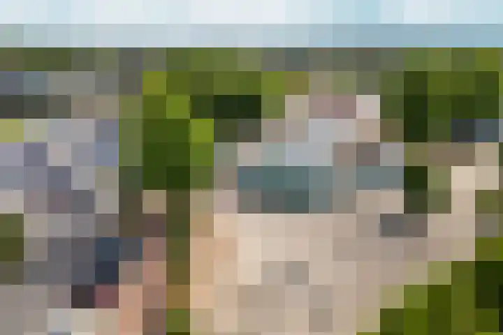 Hof van Parijs 53 Doetinchem thumbnail 64