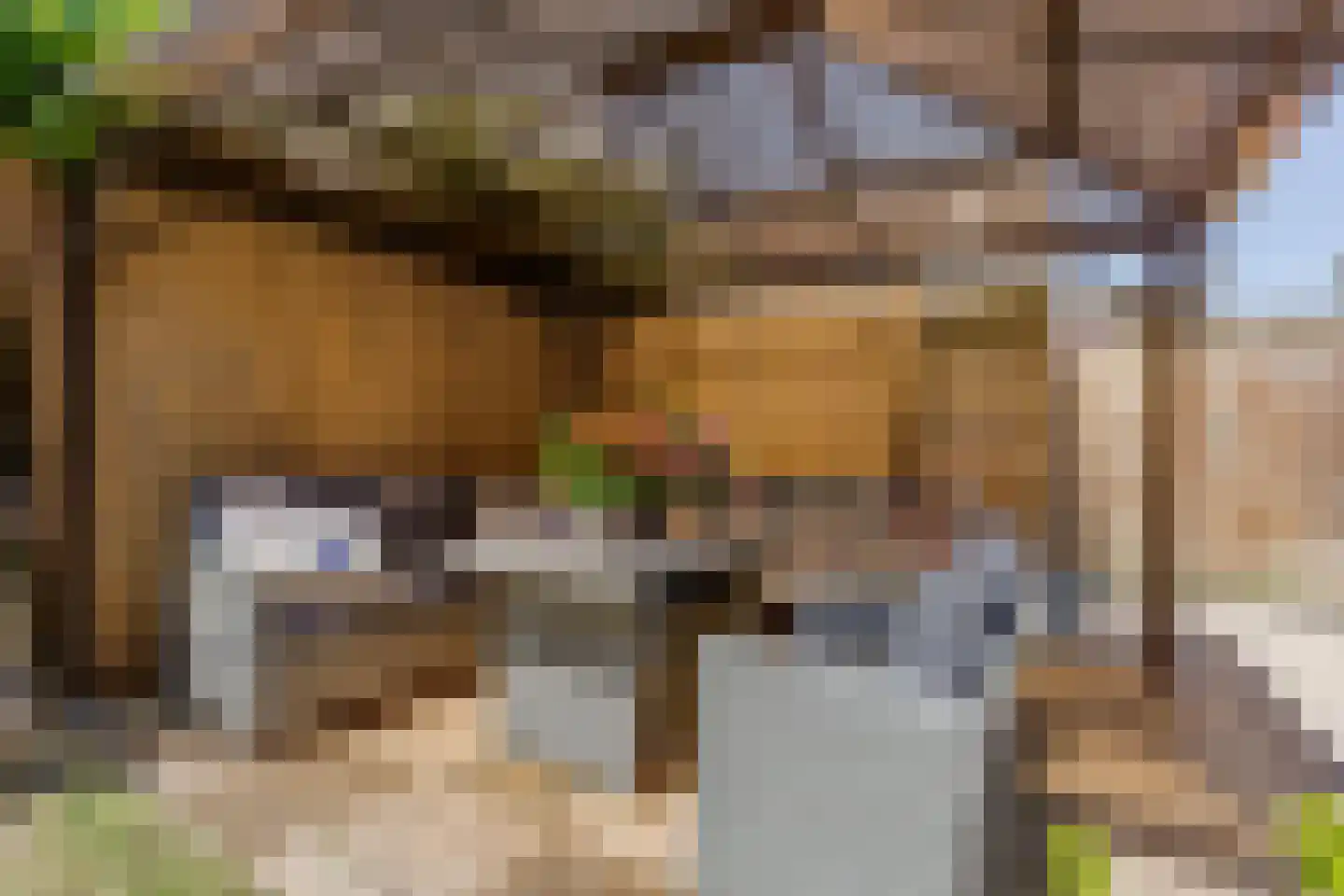 Hof van Parijs 6 Doetinchem thumbnail 24