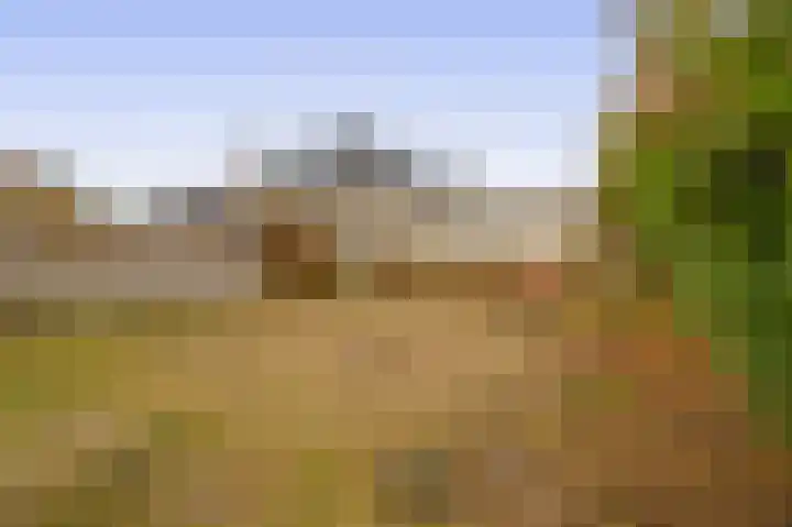 Hof van Parijs 79 Doetinchem thumbnail 32