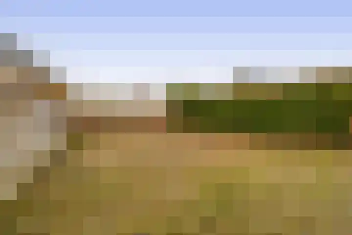 Hof van Parijs 79 Doetinchem thumbnail 4