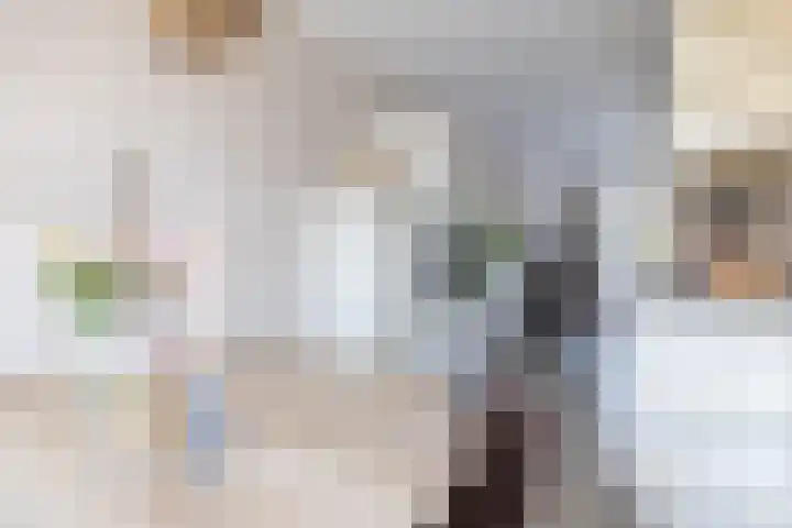 Hof van Parijs 82 Doetinchem thumbnail 13