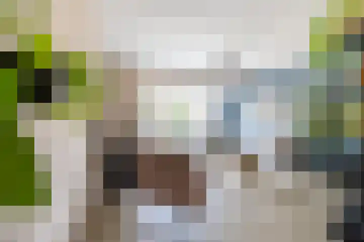 Hof van Parijs 82 Doetinchem thumbnail 15