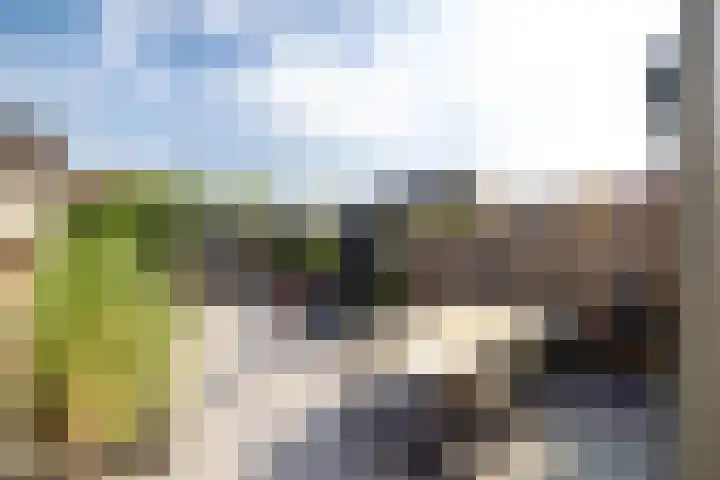Hof van Parijs 82 Doetinchem thumbnail 16