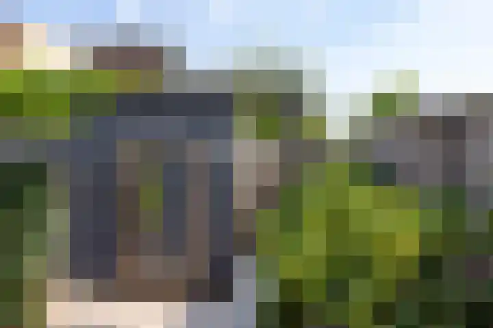 Hof van Parijs 82 Doetinchem thumbnail 18