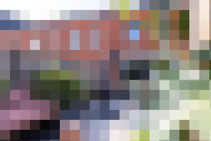 Hof van Parijs 82 Doetinchem thumbnail 20