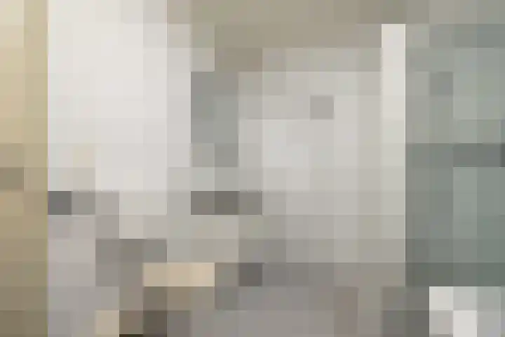 Hof van Parijs 82 Doetinchem thumbnail 33