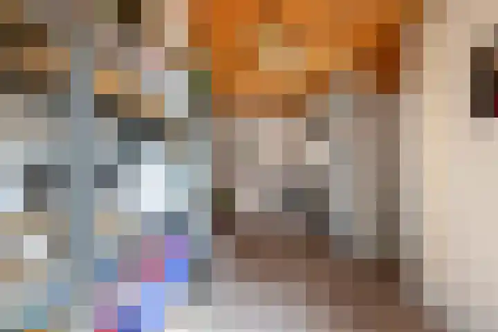 Hof van Parijs 82 Doetinchem thumbnail 38
