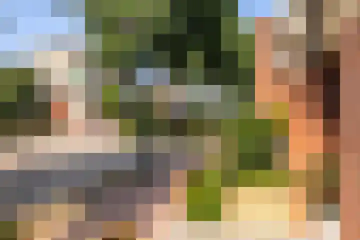 Hof van Parijs 82 Doetinchem thumbnail 39