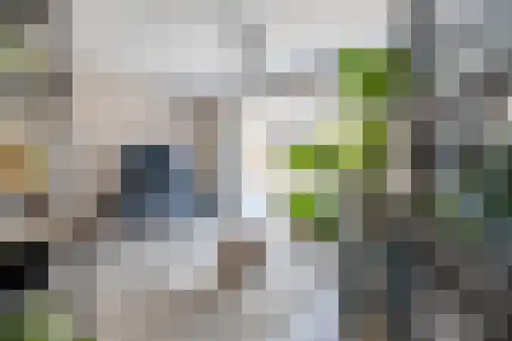 Hof van Parijs 82 Doetinchem thumbnail 4