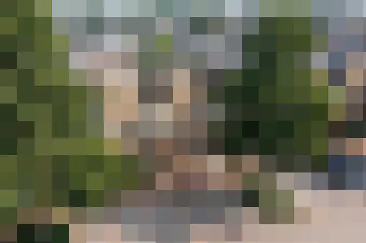 Hof van Parijs 82 Doetinchem thumbnail 44