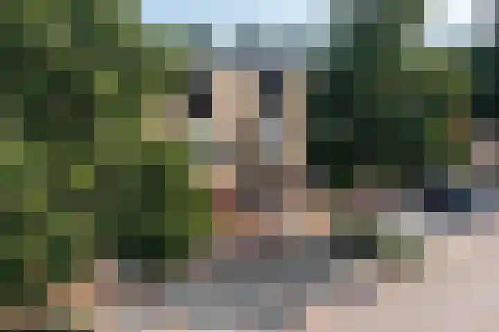 Hof van Parijs 82 Doetinchem thumbnail 45