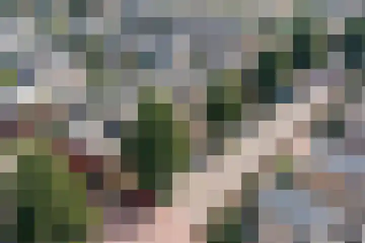 Hof van Parijs 82 Doetinchem thumbnail 46