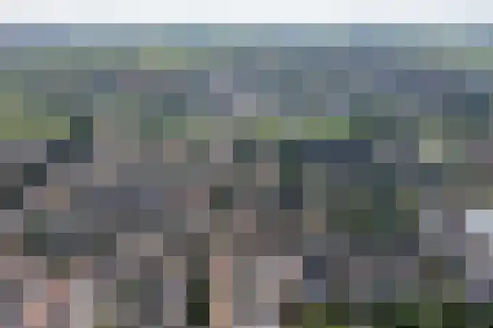 Hof van Parijs 82 Doetinchem thumbnail 47