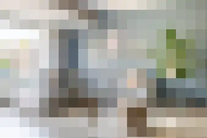 Hof van Parijs 82 Doetinchem thumbnail 6
