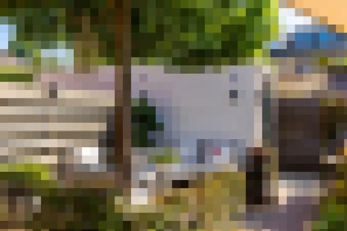 Hof van Parma 18 Doetinchem thumbnail 18