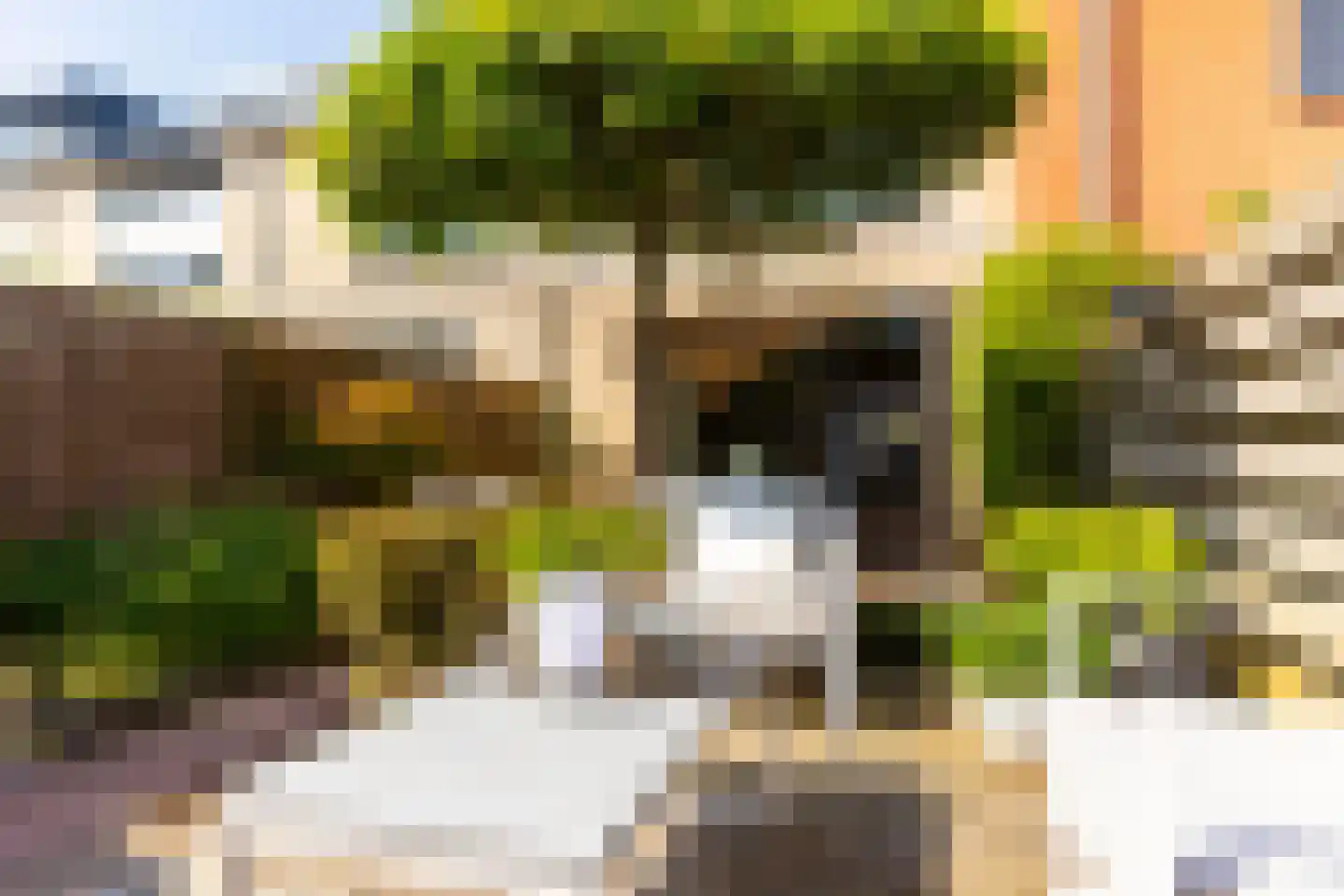 Hof van Parma 18 Doetinchem thumbnail 20