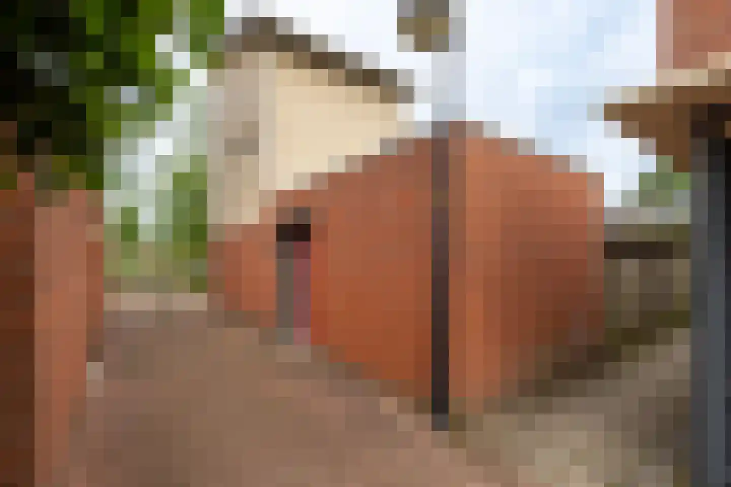 Hof van Parma 24 Doetinchem thumbnail 15