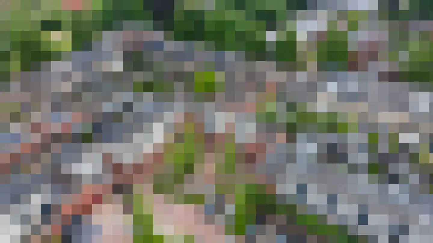 Hof van Parma 24 Doetinchem thumbnail 36