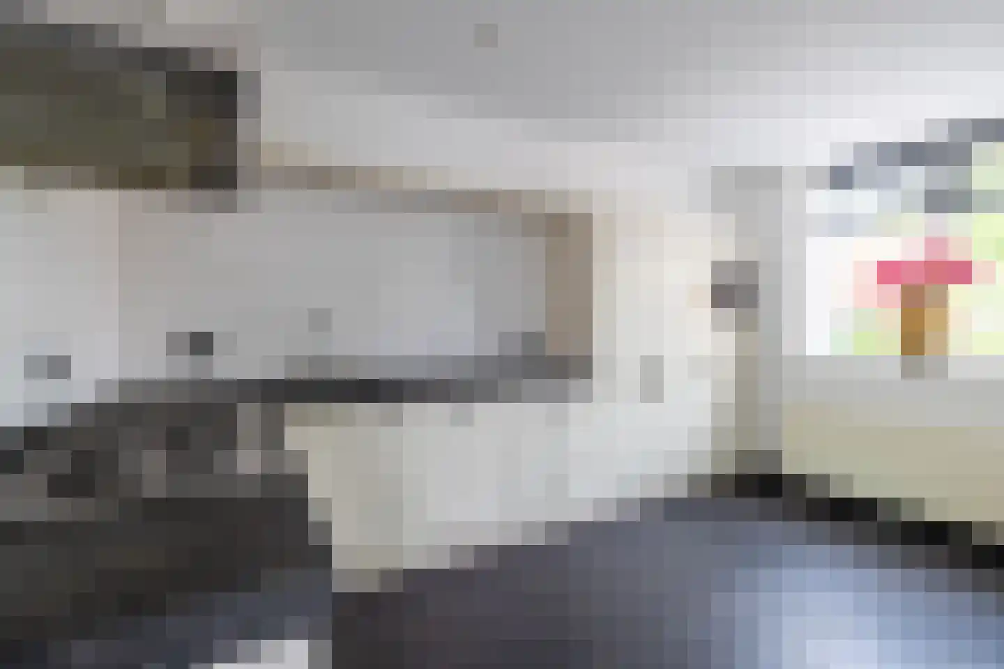 Hof van Parma 24 Doetinchem thumbnail 7