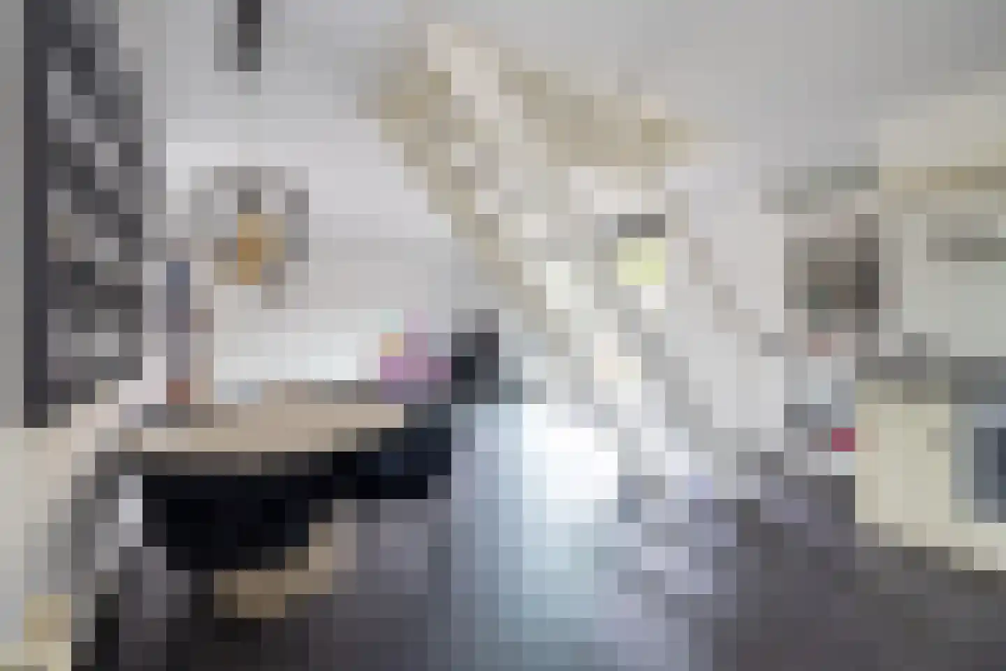 Hof van Parma 24 Doetinchem thumbnail 9