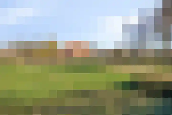 Hof van Parma 33 Doetinchem thumbnail 48